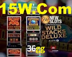 Premium Interface 36gg